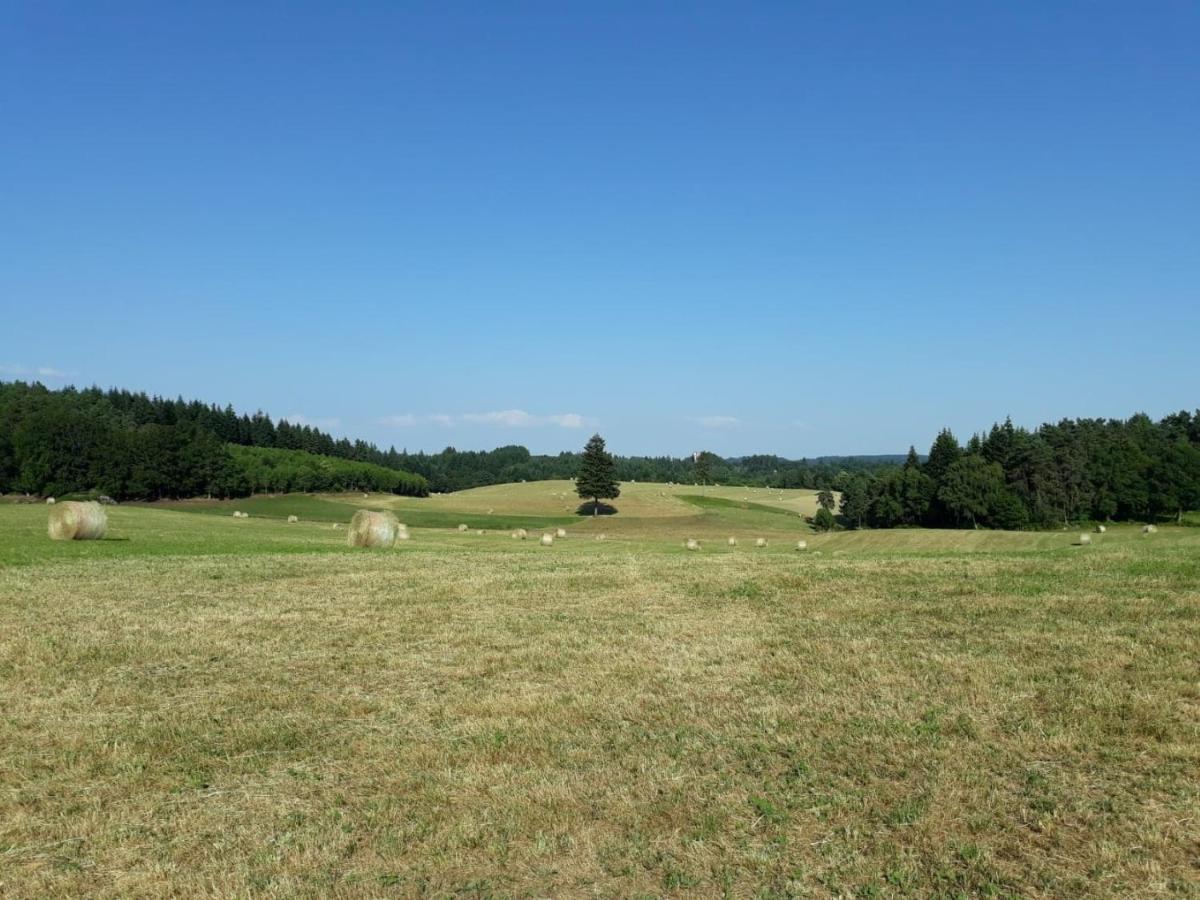 Le Parc Des 4 Saisons Bed and Breakfast Corrèze Eksteriør billede