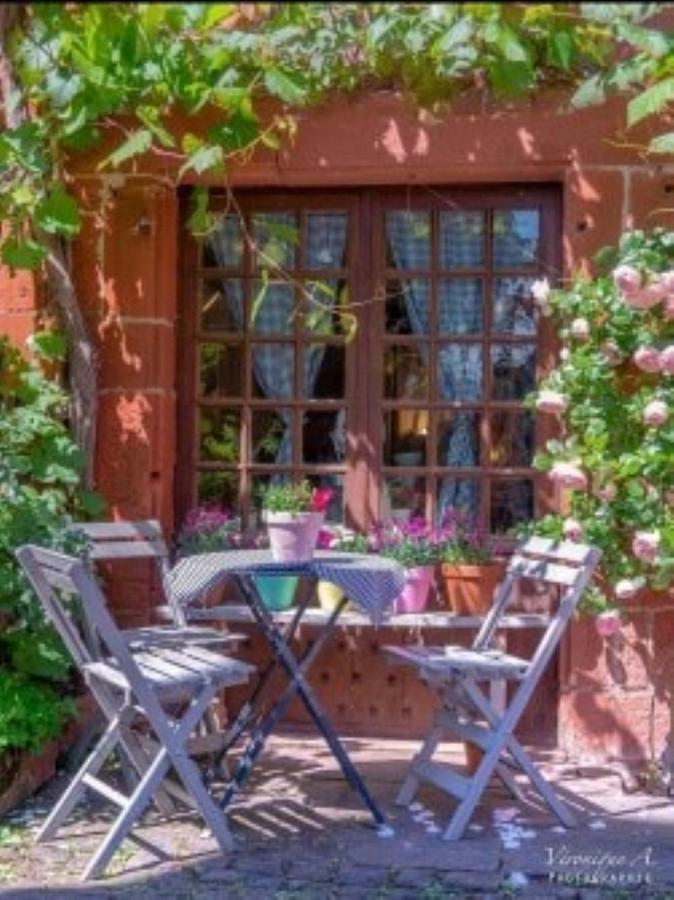 Le Parc Des 4 Saisons Bed and Breakfast Corrèze Eksteriør billede